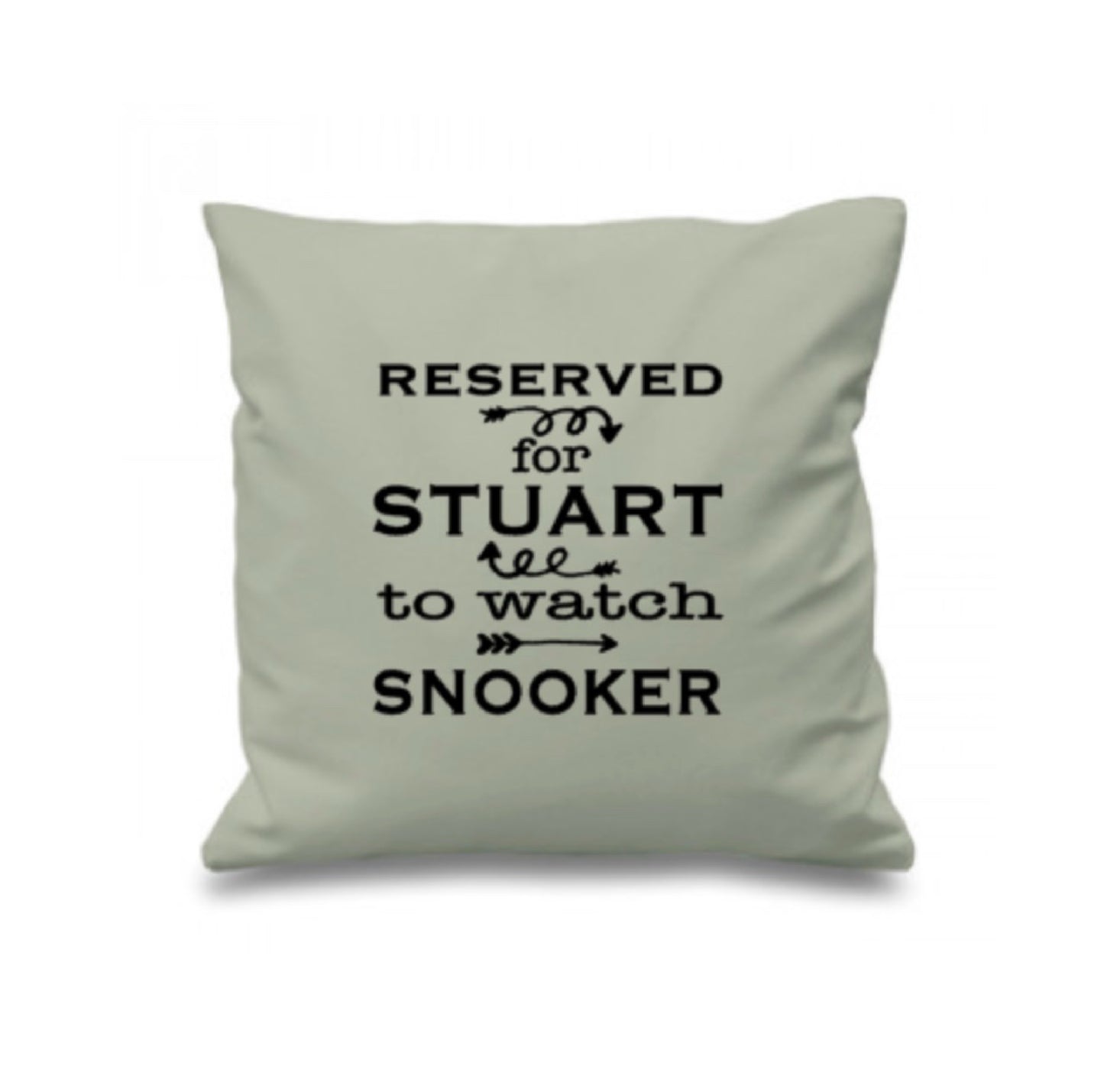 Reserved for ANY NAME To Watch Snooker Cushion